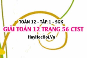 Giải Toán 12 trang 56 tập 1 Chân trời sáng tạo